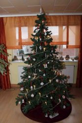 Weihnachtsbaum 21M.jpg