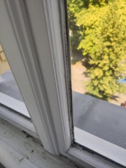 Fenster3.jpg